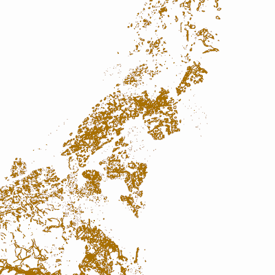 Export Image