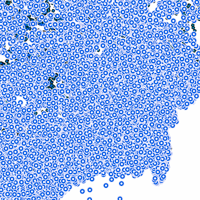 Export Image
